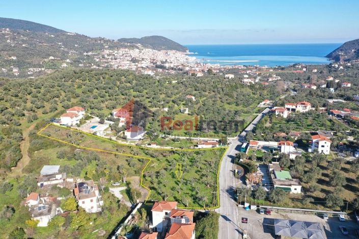 Image No.2-Propriété à vendre à Chora