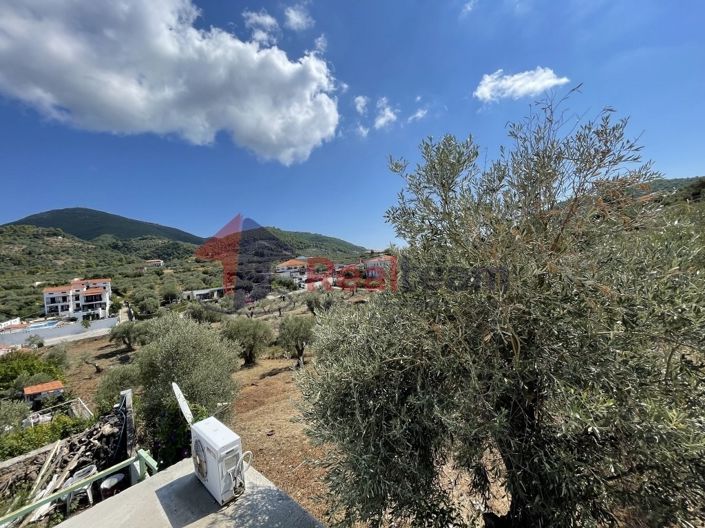 Image No.21-Propriété à vendre à Chora