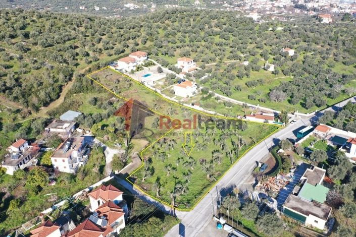 Image No.3-Propriété à vendre à Chora