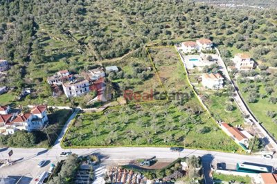 img6de9d26f-a724-4fd1-aaea-b2e7bac28c5b