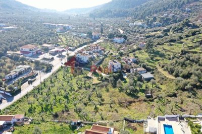 img4295ef1a-bf7d-4c95-8647-69309e88d319