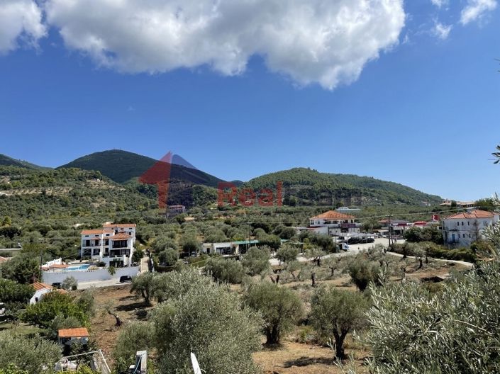 Image No.7-Propriété à vendre à Chora