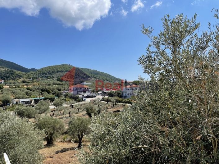 Image No.9-Propriété à vendre à Chora