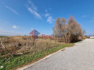 img74ec74fa-2c49-42e8-b3ad-a544d331fb4c