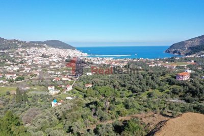 img98235bb2-b515-4ac0-8a63-4c8a4d040f67