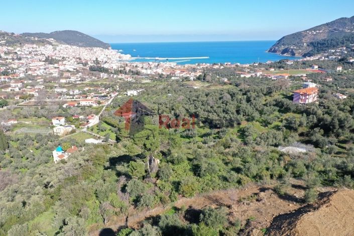 Image No.12-Propriété à vendre à Chora