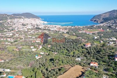 imgad90c8a4-54a4-48de-8c75-fb6a971463e6