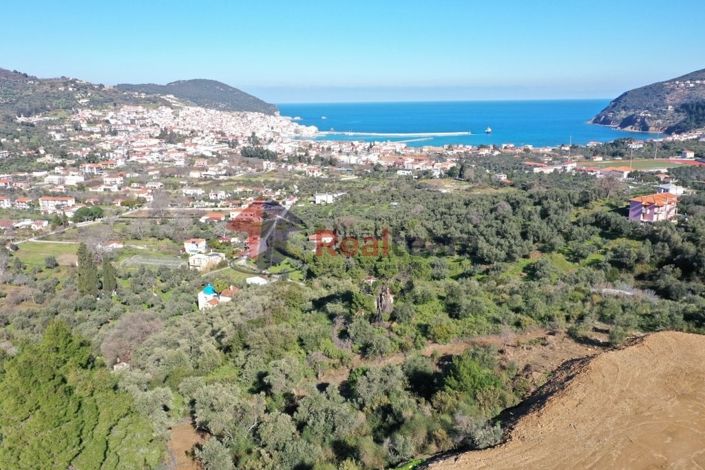 Image No.16-Propriété à vendre à Chora