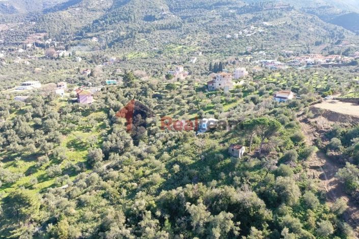 Image No.19-Propriété à vendre à Chora