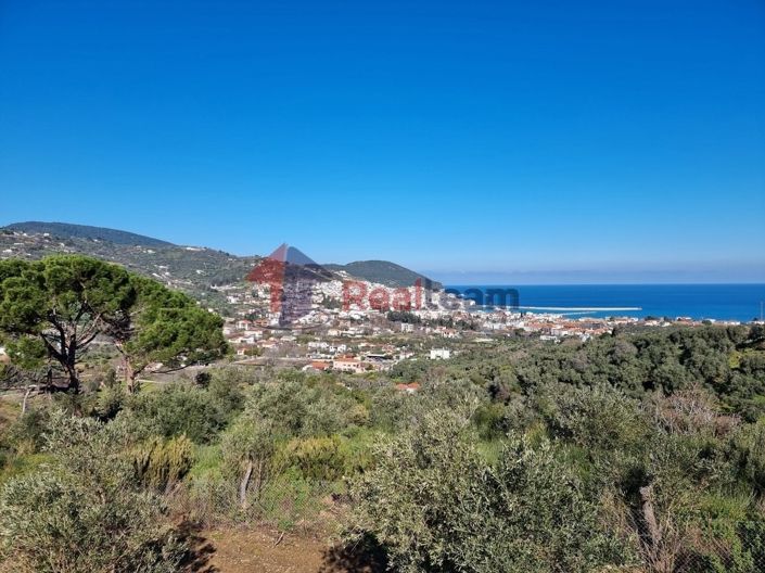 Image No.2-Propriété à vendre à Chora