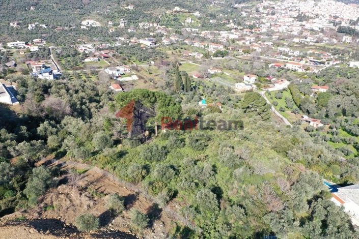 Image No.20-Propriété à vendre à Chora