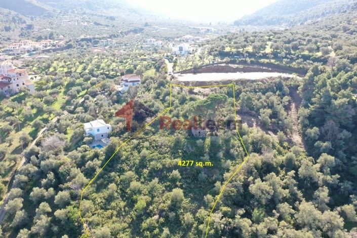 Image No.21-Propriété à vendre à Chora