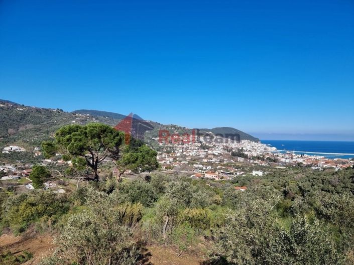 Image No.4-Propriété à vendre à Chora