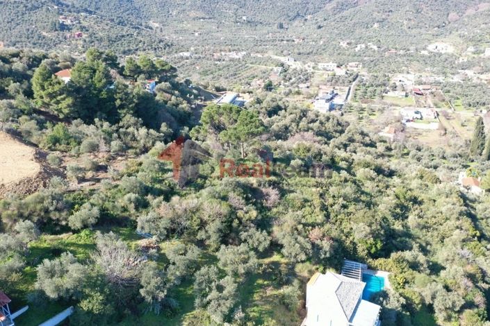 Image No.9-Propriété à vendre à Chora