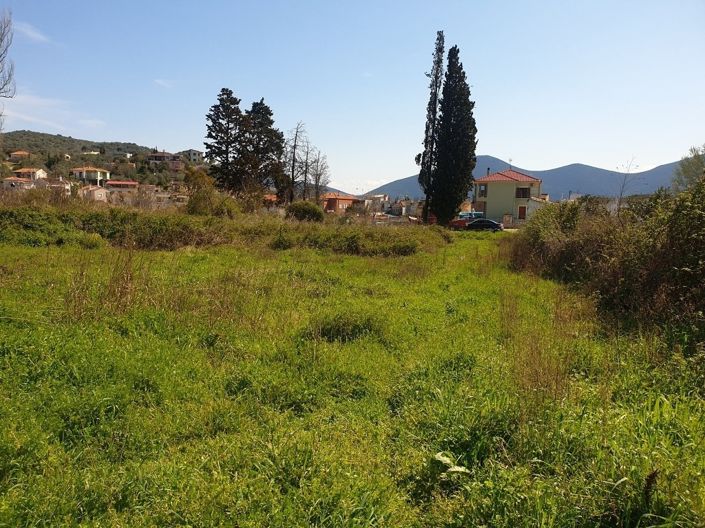 Image No.12-Propriété à vendre à Pteleos