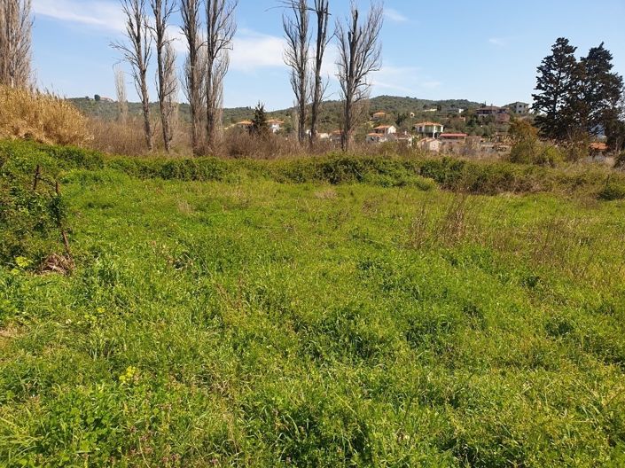 Image No.14-Propriété à vendre à Pteleos