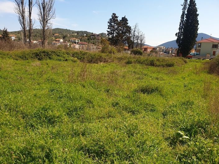 Image No.15-Propriété à vendre à Pteleos