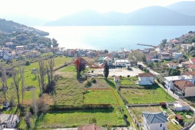 img80965a17-322b-4a83-806d-c5e799da9508