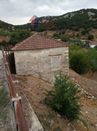 imgfab062a8-fea7-4a8a-b410-f132ed3059e5