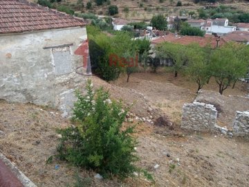 imga5002adf-af85-4244-af81-35055bb7efaa