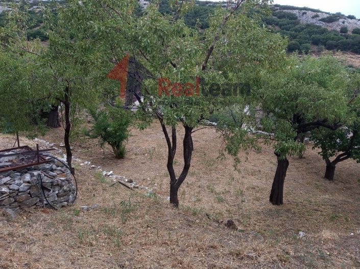 Image No.22-Propriété à vendre à Karla