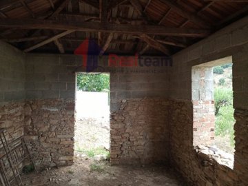 imgd82ee518-116d-4cfd-a99e-bd6d6058fead