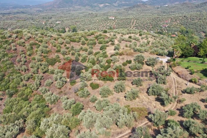 Image No.10-Propriété à vendre à Pteleos