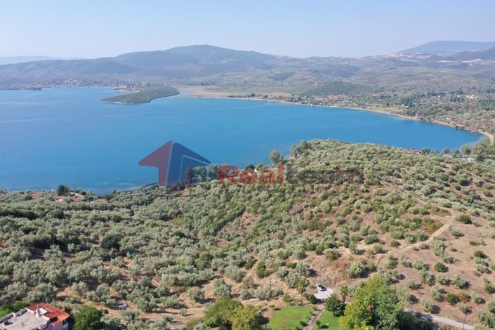 Image No.11-Propriété à vendre à Pteleos