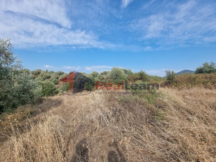 Image No.14-Propriété à vendre à Pteleos