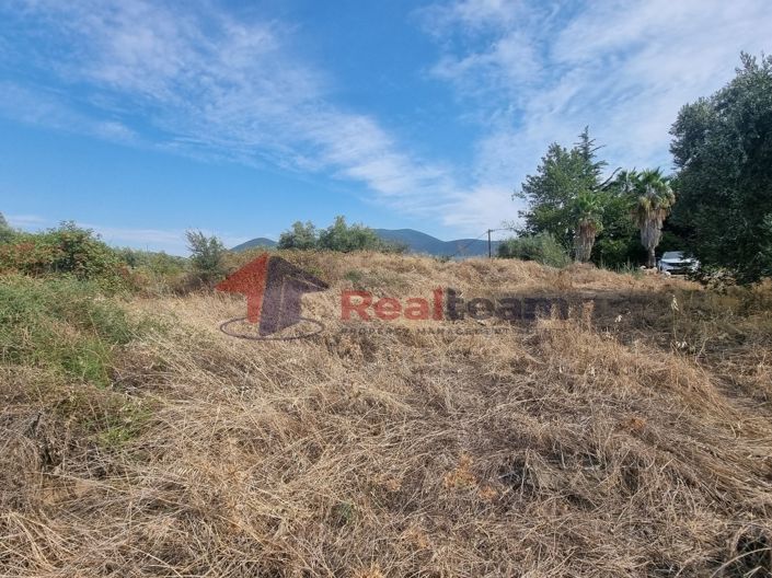 Image No.15-Propriété à vendre à Pteleos