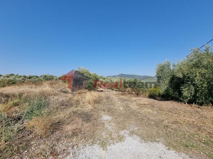 Image No.17-Propriété à vendre à Pteleos