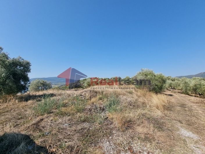 Image No.18-Propriété à vendre à Pteleos