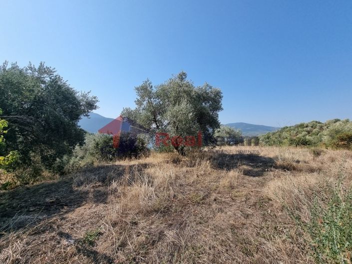 Image No.19-Propriété à vendre à Pteleos