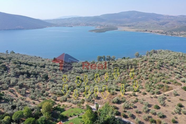 Image No.2-Propriété à vendre à Pteleos