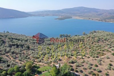 img09eac528-2a2d-48a3-85c3-8a9f72a9fcd7