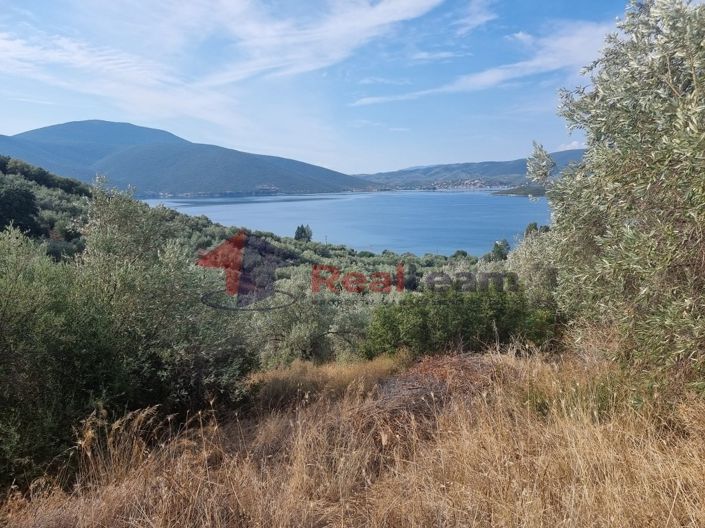 Image No.23-Propriété à vendre à Pteleos