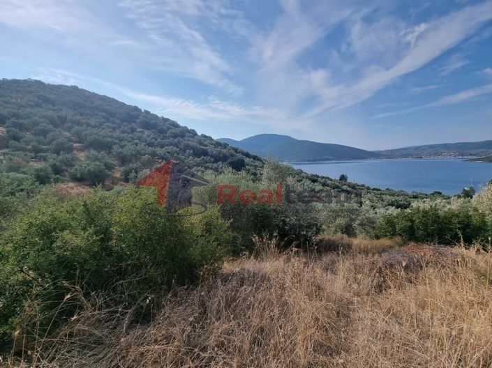 Image No.24-Propriété à vendre à Pteleos