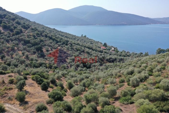 Image No.25-Propriété à vendre à Pteleos