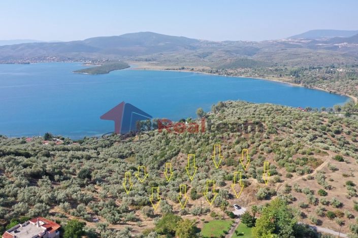 Image No.3-Propriété à vendre à Pteleos