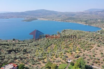 img30b803af-90b5-46e0-9837-3d6b5080c3da