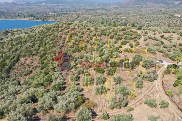 Image No.4-Propriété à vendre à Pteleos