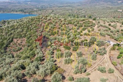 imgf409d1a4-27ba-4b51-a17c-e0bcd8d18091