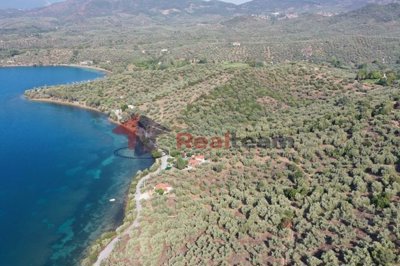 img7d0fe92f-ae96-49da-9322-76e9f65865cd