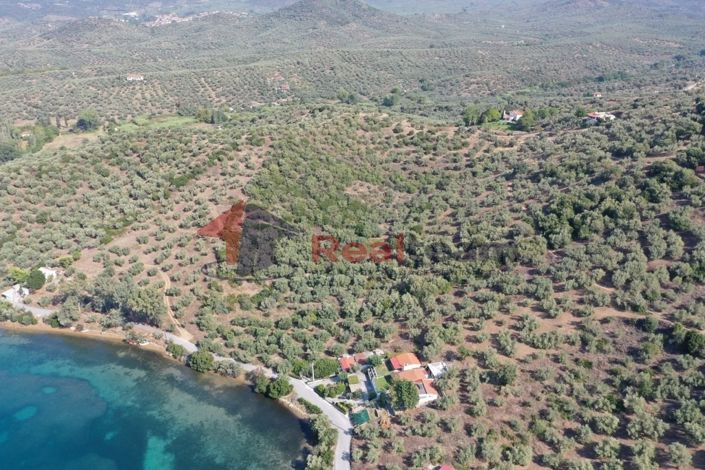 Image No.6-Propriété à vendre à Pteleos