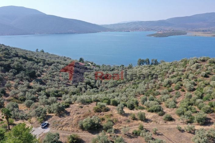 Image No.7-Propriété à vendre à Pteleos