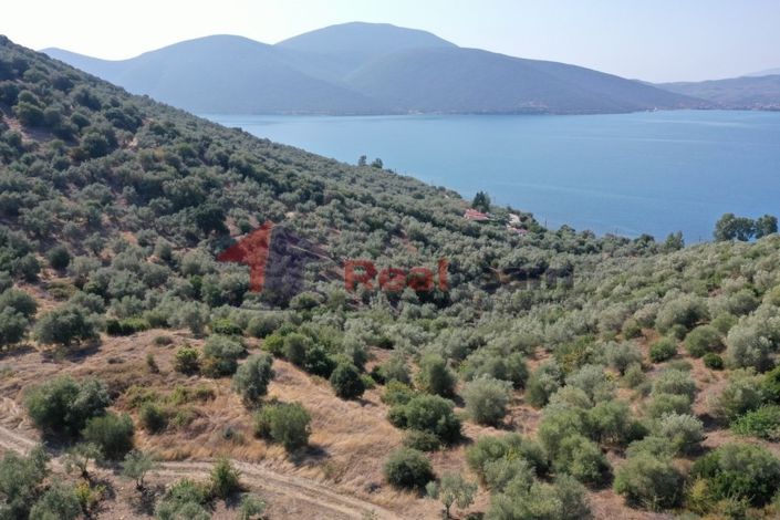 Image No.8-Propriété à vendre à Pteleos