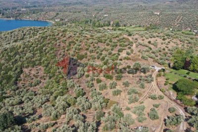 img35bf84d5-d322-4479-ab66-cc7fe48ca9a8