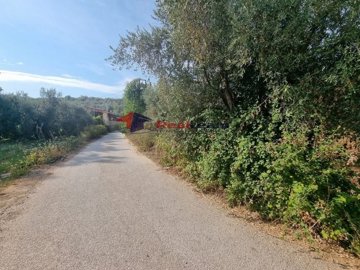 imgb248bf08-3454-49d1-bc0b-5c153eacafd7