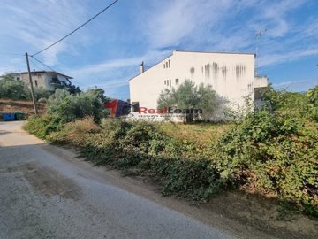 img61a738d6-609e-450d-aee8-789e452b3c7b