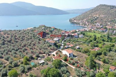 imgeab90184-072c-40c7-9634-98c1557b89c6